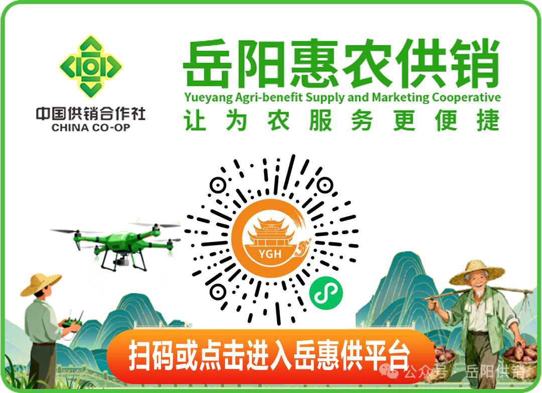 漫等融合剧本杀成“行走的游戏”澳门新葡京进入景区、商场与动(图2)